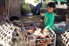 MMR_Tag15_20191117_010