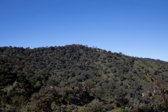 MMR_Tag16_20191118_014