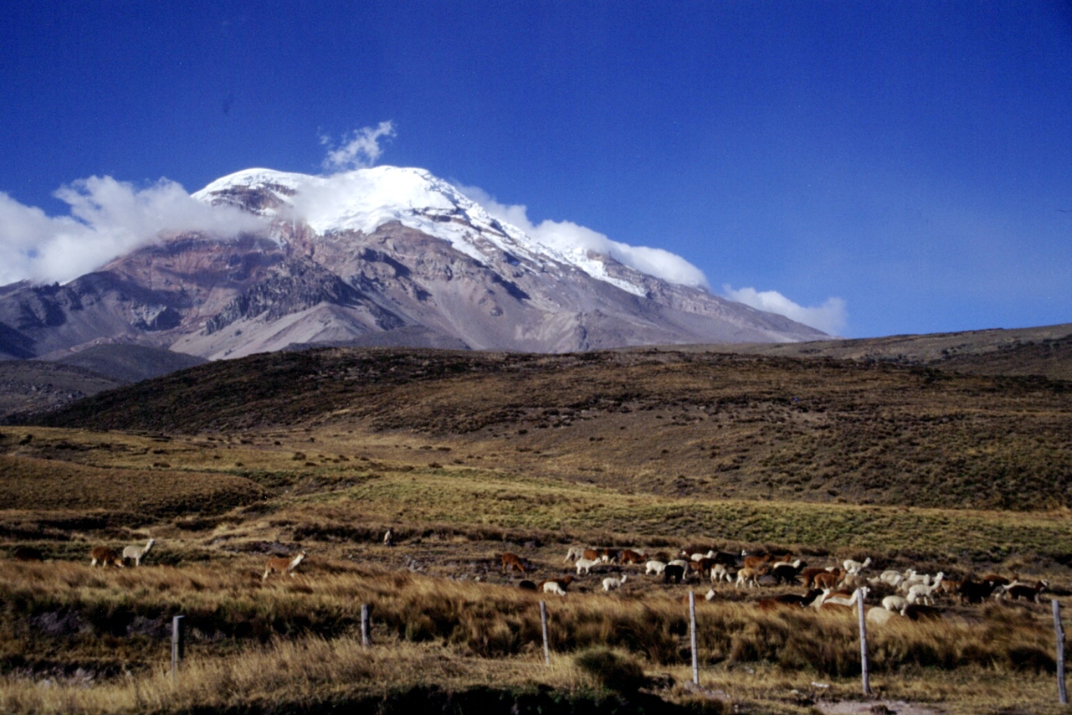 10_ALTAR_705023_L_004_