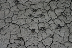 Image00034
