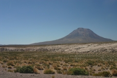 Image00009