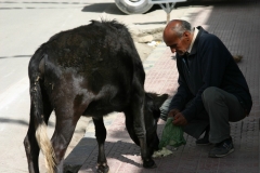 Image00015