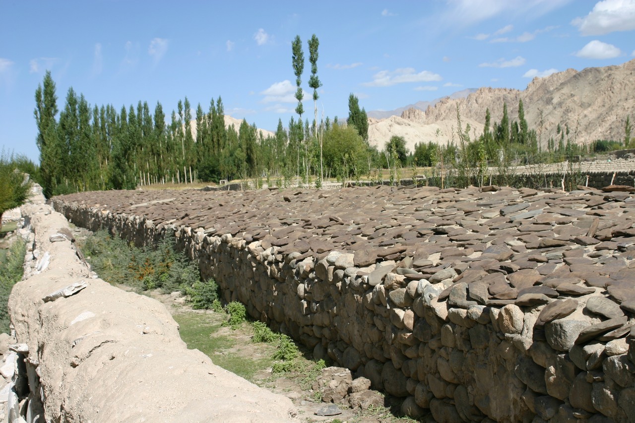 Image00012