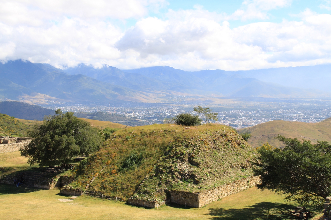 mex_tag6_00032