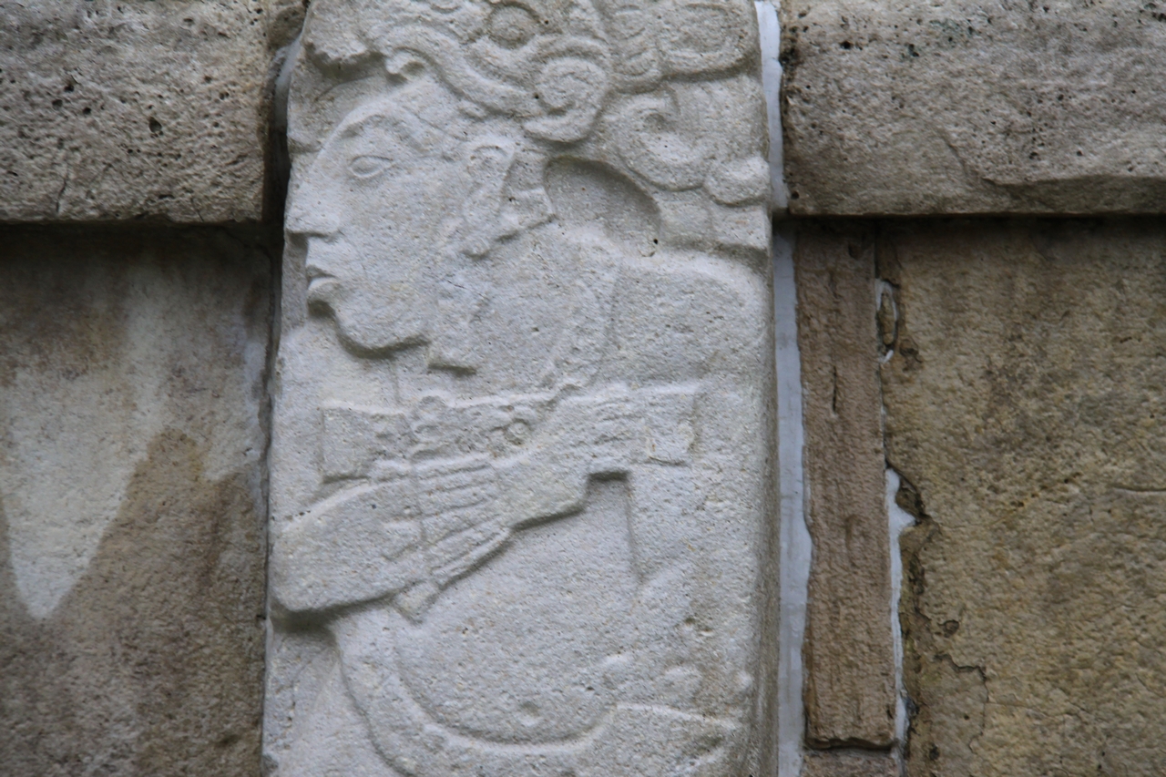 mex_tag14_00014