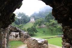 mex_tag14_00022