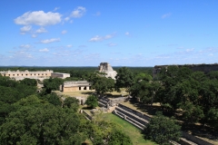 mex_tag15_00058