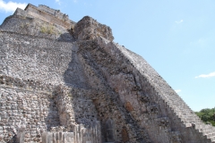 mex_tag15_00082