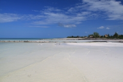 mex_tag17_00034