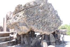 ARM_T11_0037