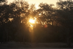 NAM_T08_0062