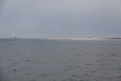 IMG_T10_0038