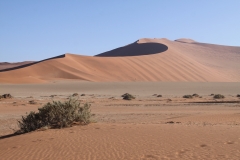 NAM_T12_0073
