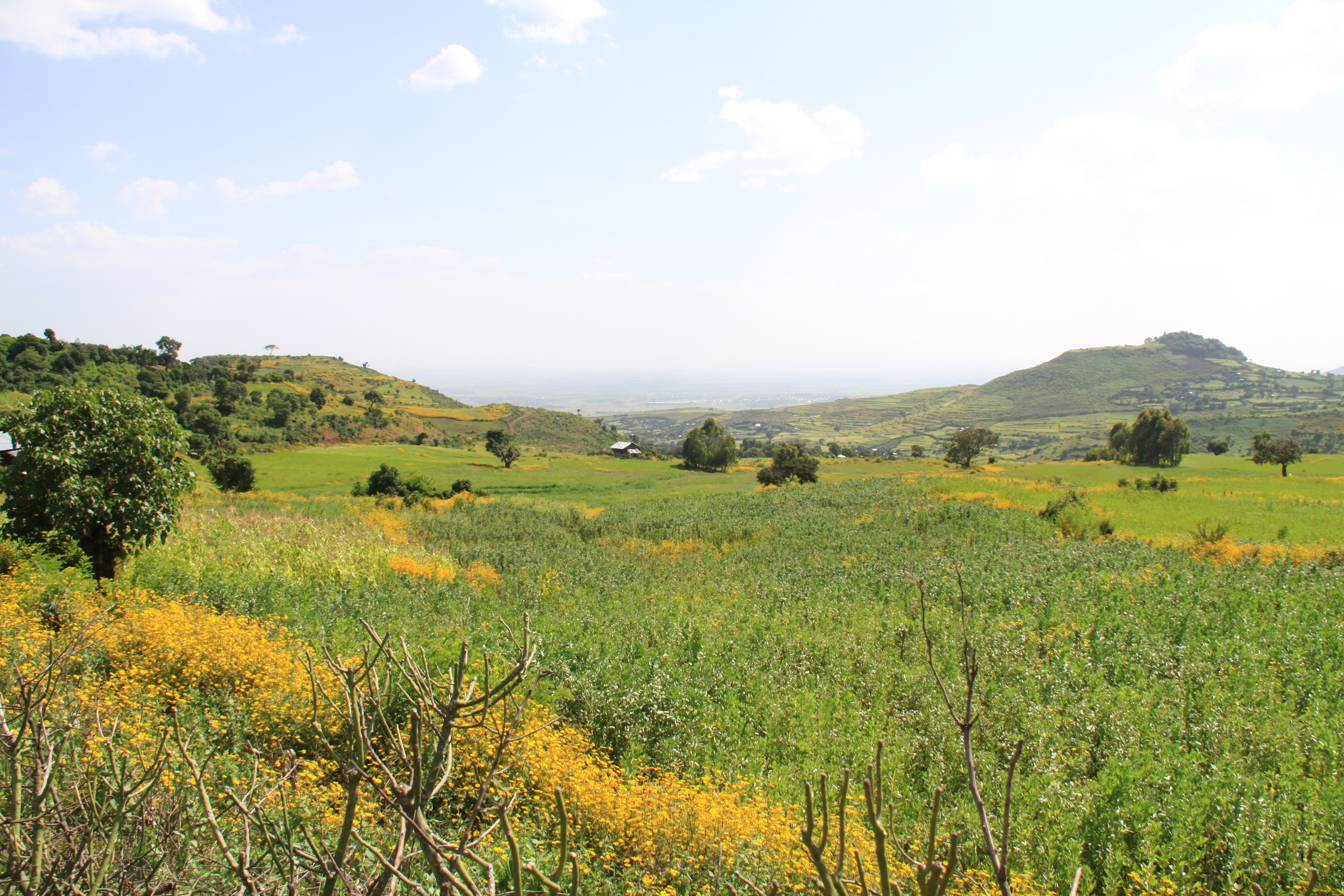 Aeth_2018_Tag03_0066