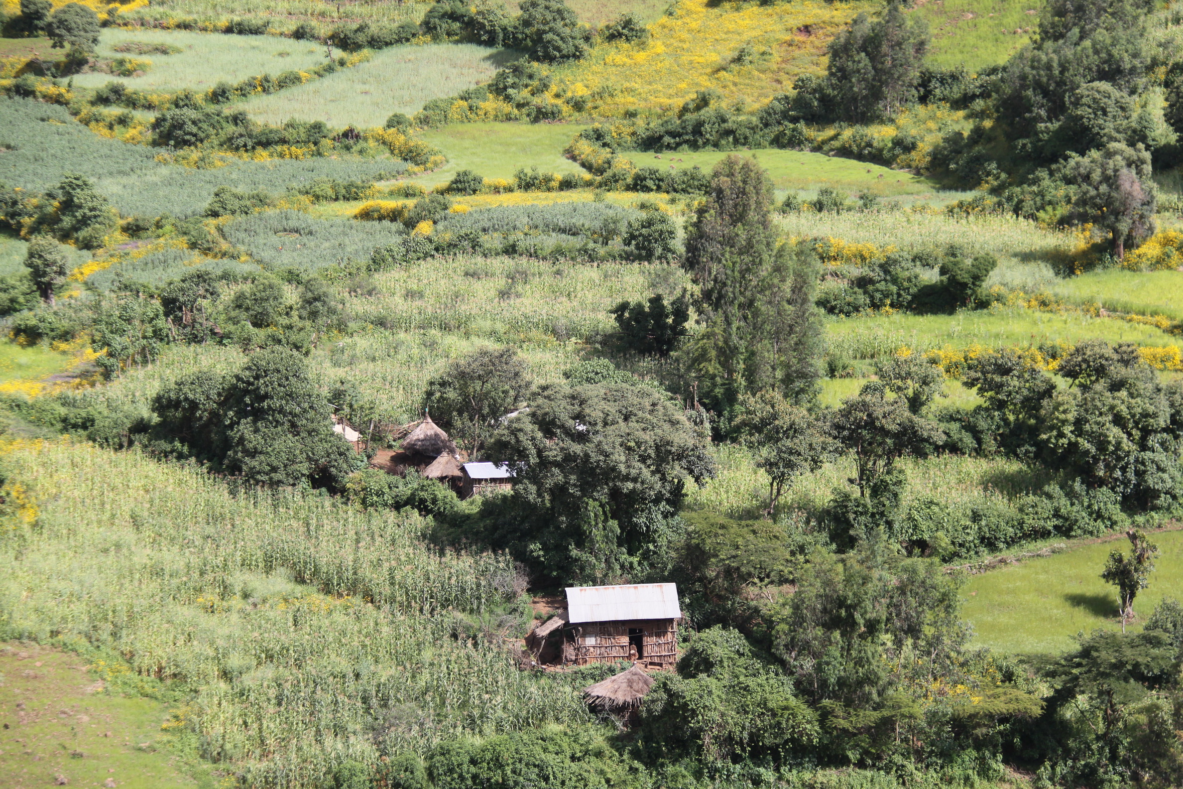 Aeth_2018_Tag03_0068