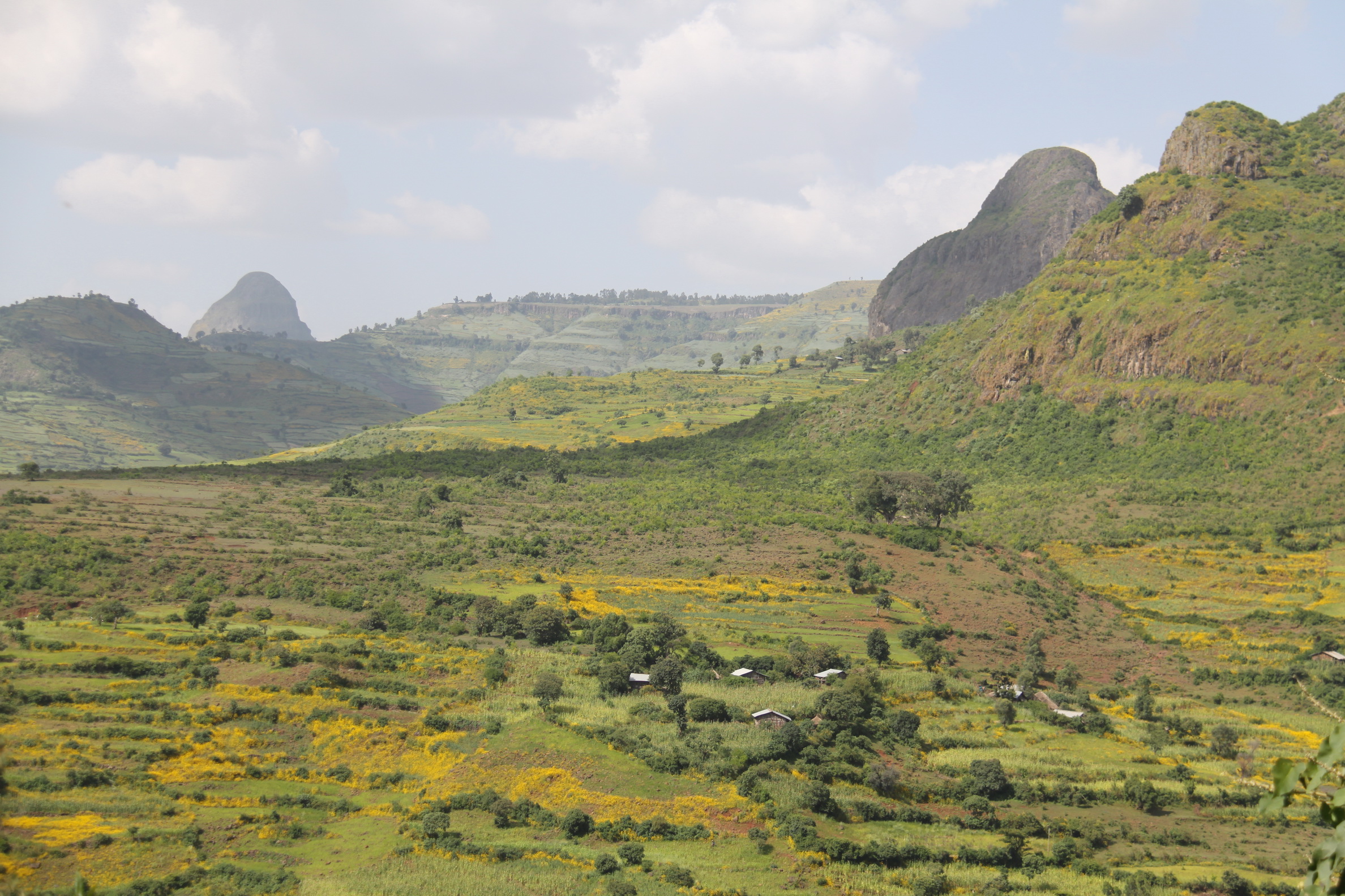 Aeth_2018_Tag03_0071