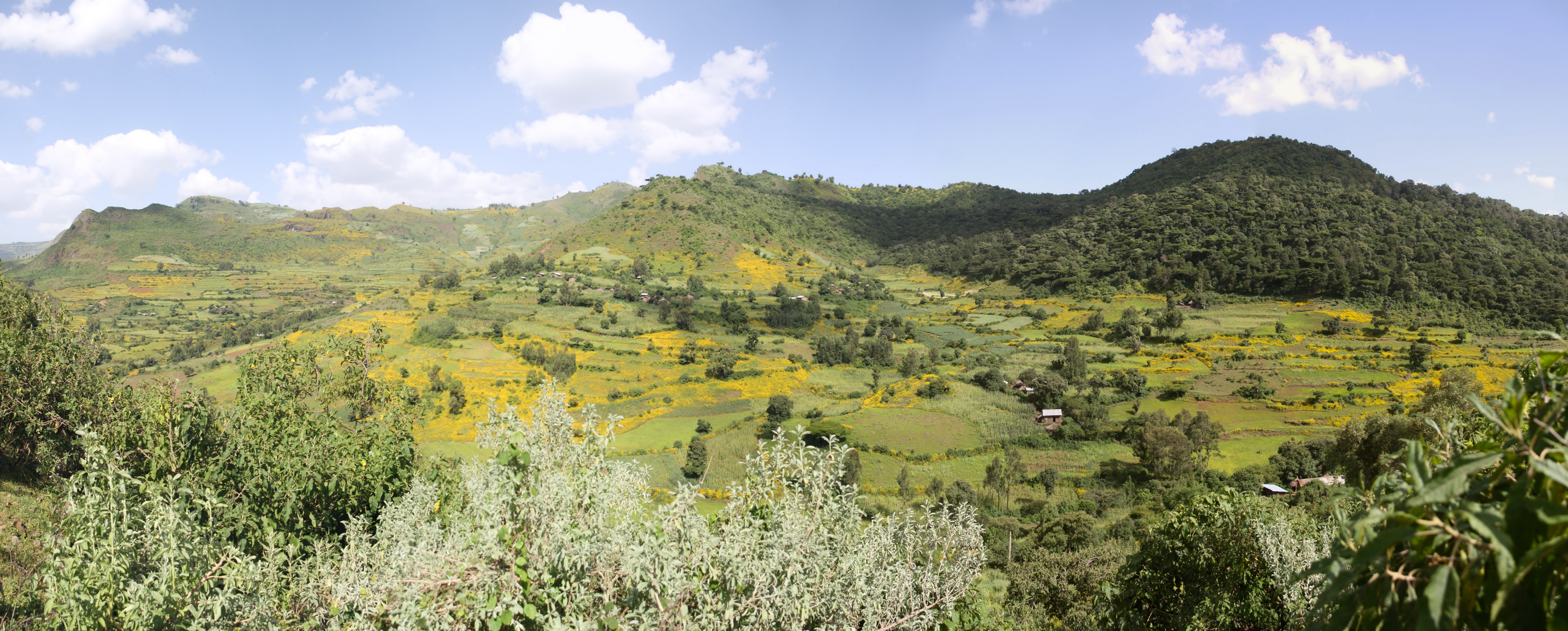 Aeth_2018_Tag03_P_0005