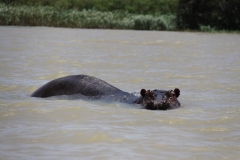 Aeth_2018_Tag03_0046