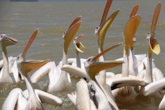 Aeth_2018_Tag03_0049