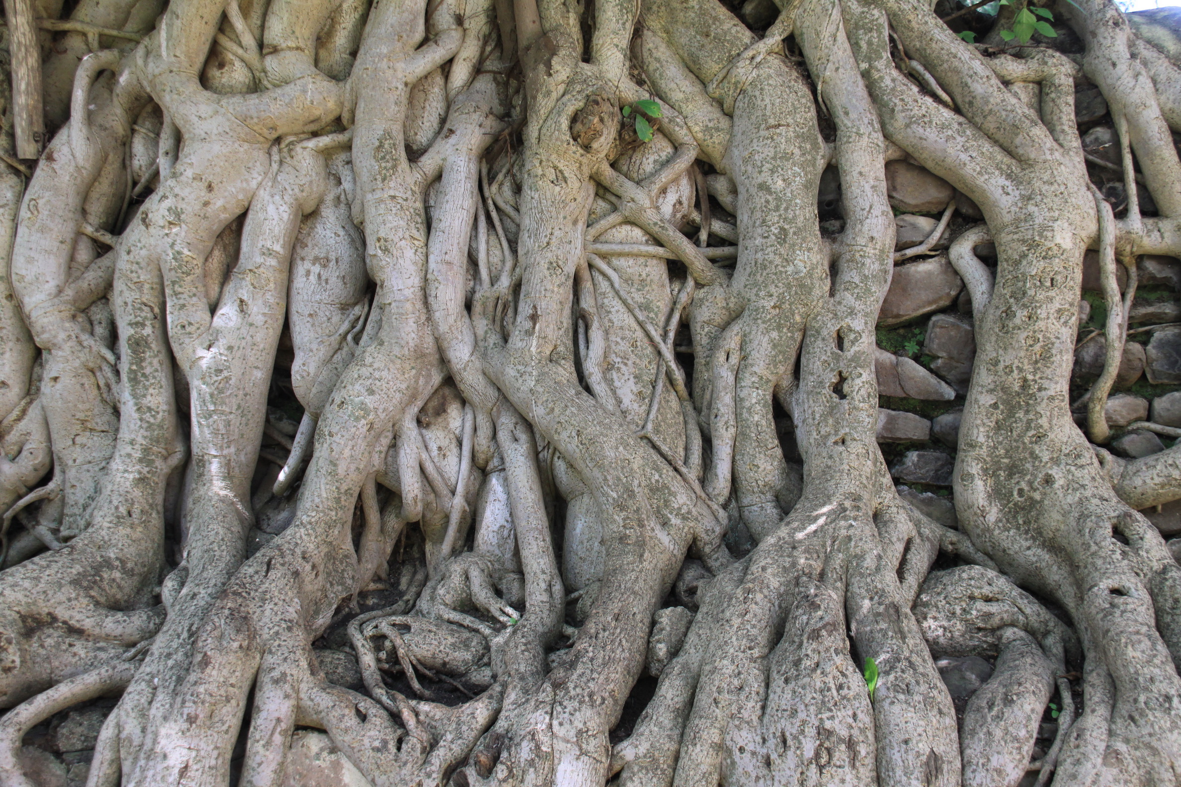 Aeth_2018_Tag04_0062