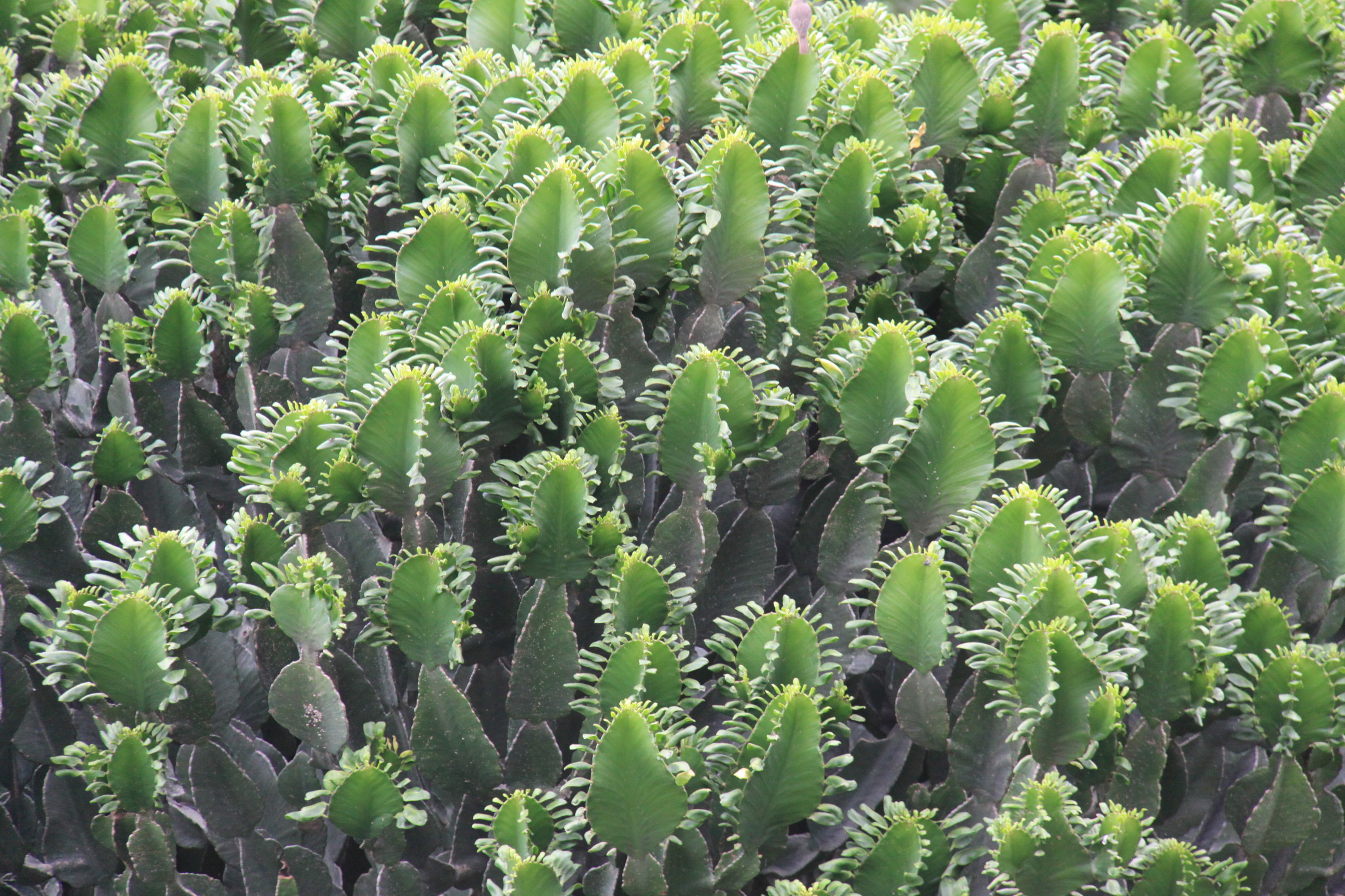 Aeth_2018_Tag04_0084