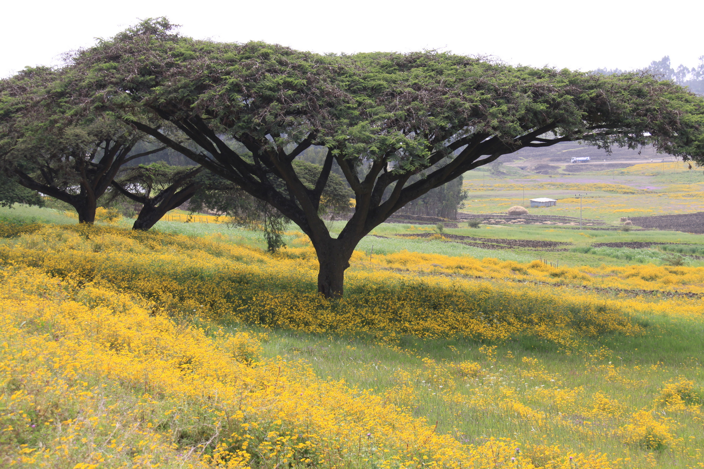 Aeth_2018_Tag04_0097