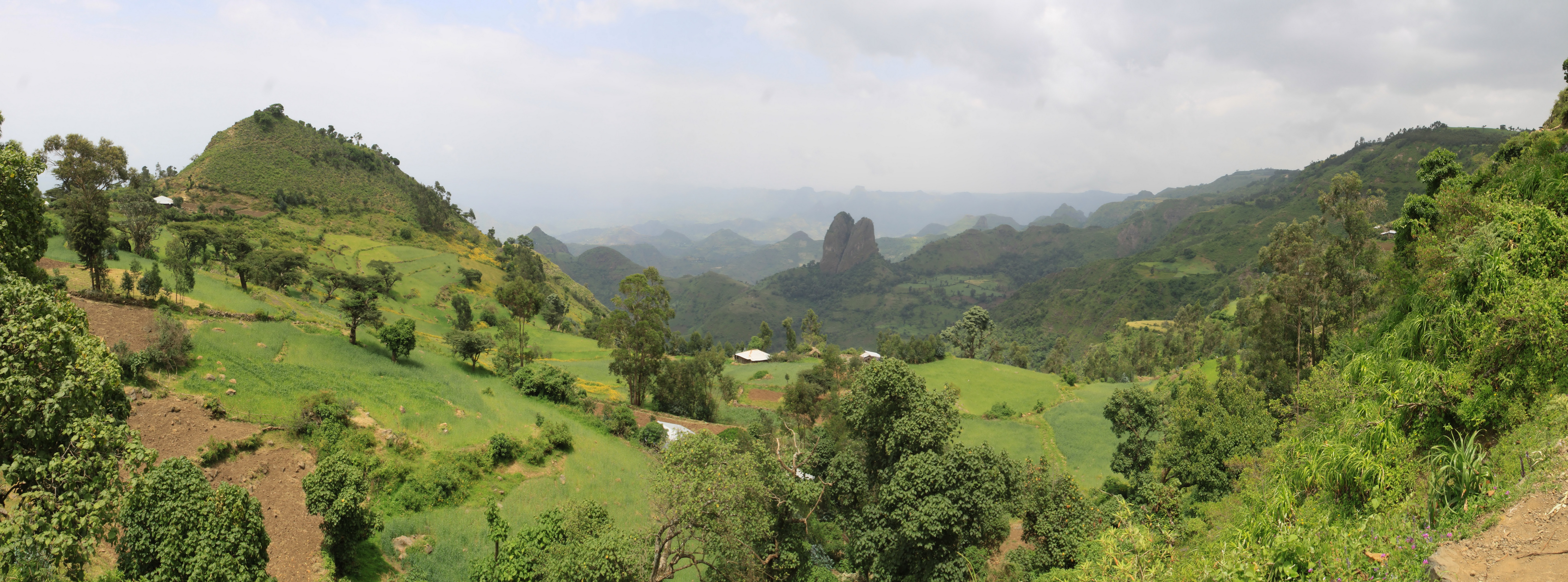 Aeth_2018_Tag04_P_0004