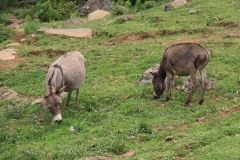 Aeth_2018_Tag04_0085