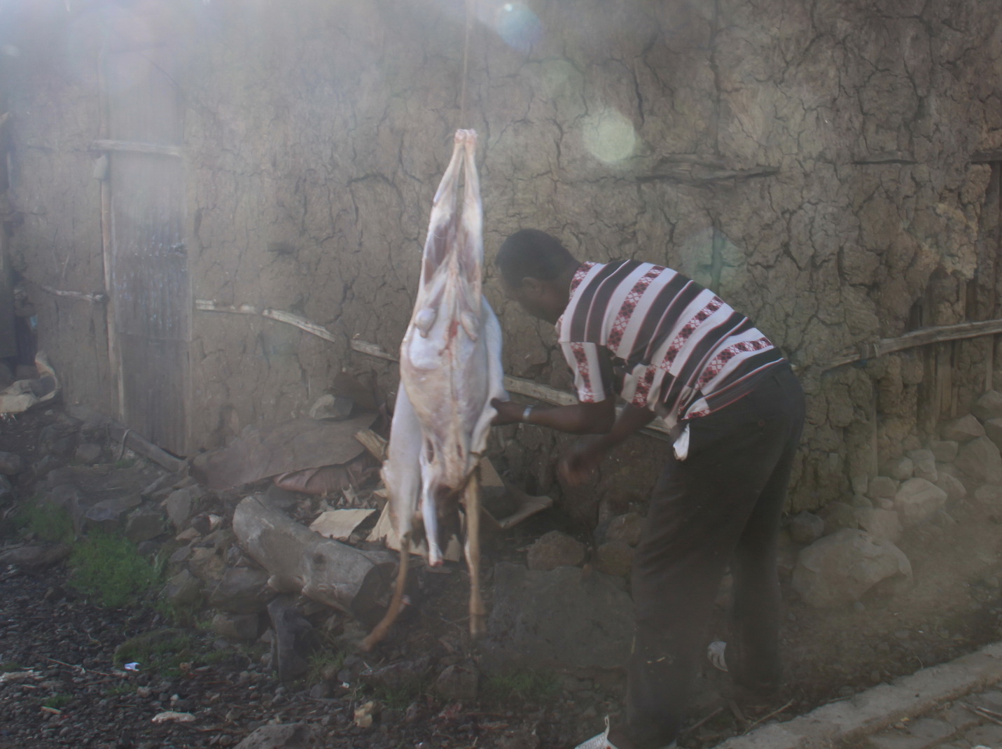 Aeth_2018_Tag06_0006