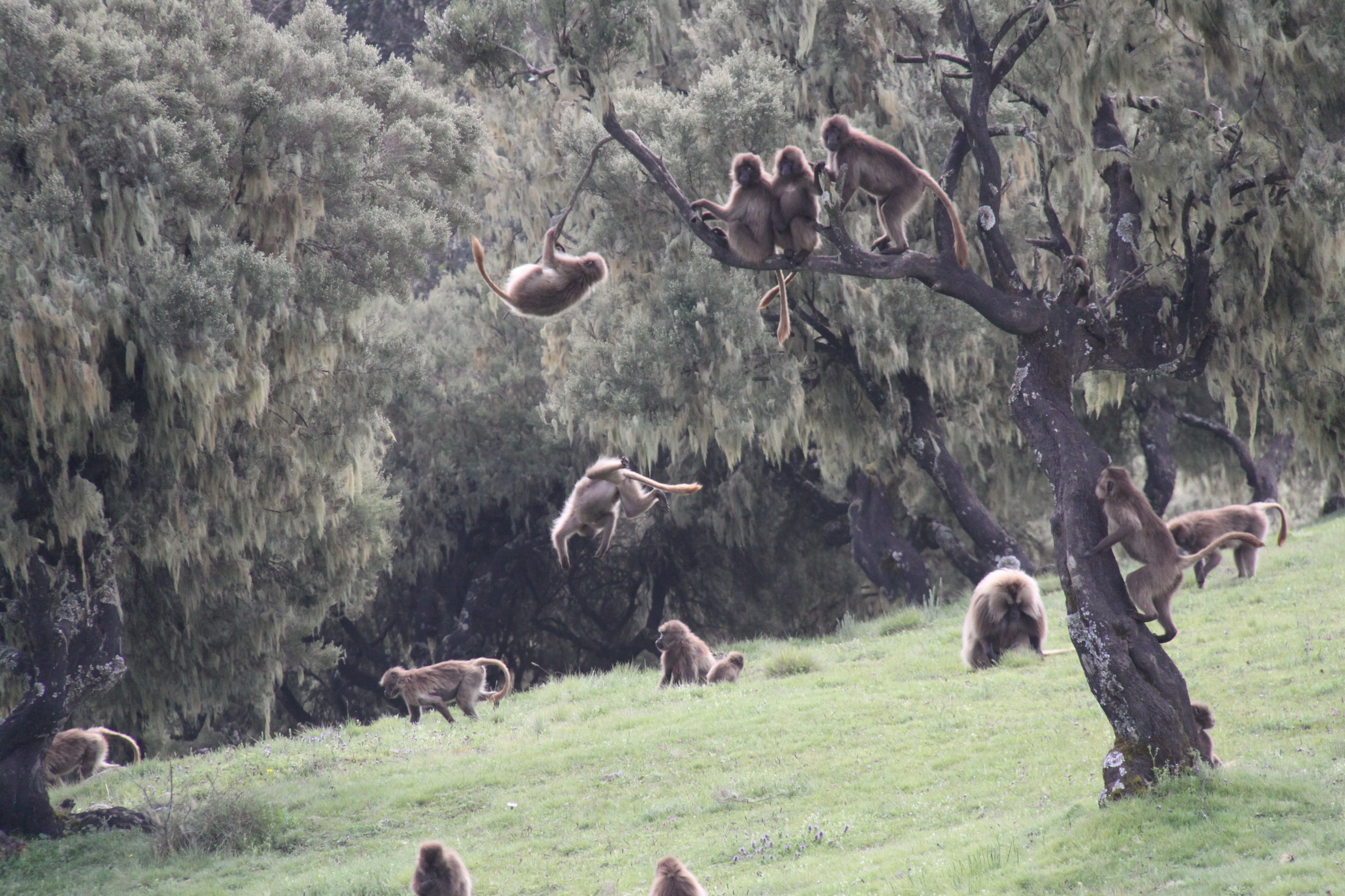 Aeth_2018_Tag05_0028