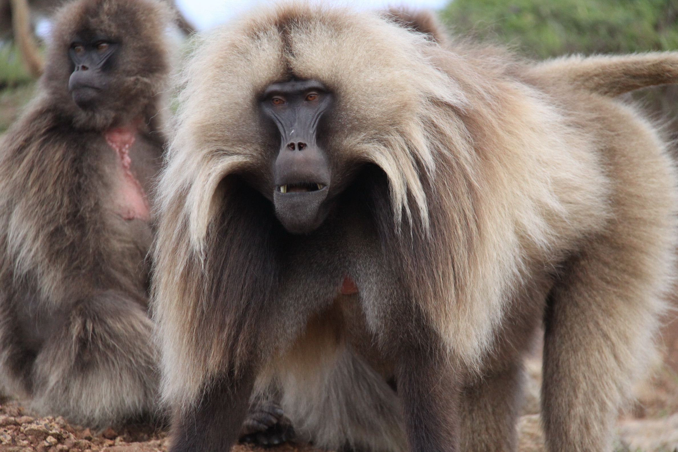 Aeth_2018_Tag05_0048