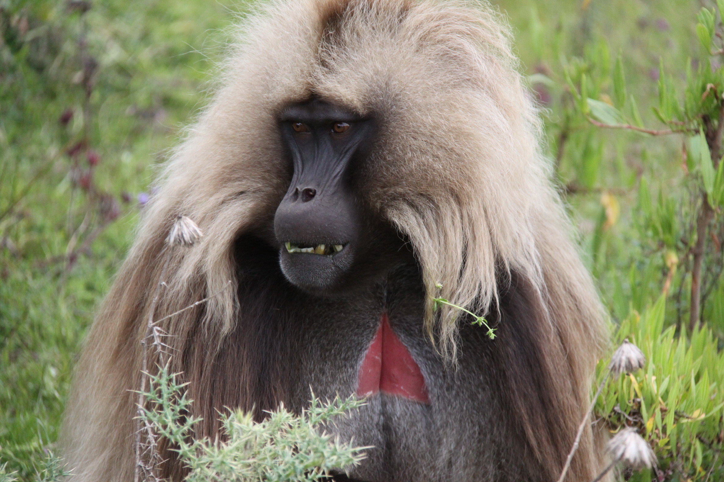 Aeth_2018_Tag05_0053