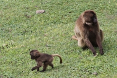 Aeth_2018_Tag05_0033