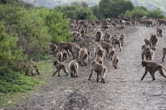 Aeth_2018_Tag05_0036