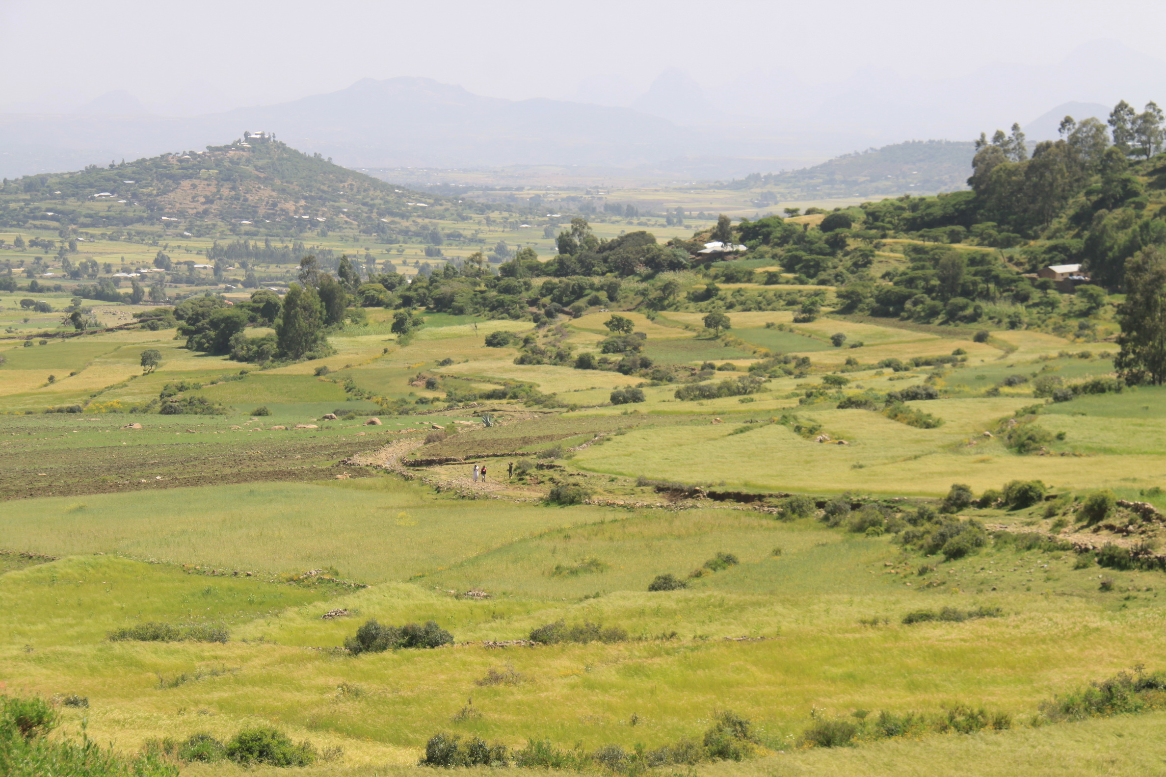 Aeth_2018_Tag07_0060