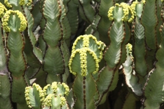 Aeth_2018_Tag07_0081