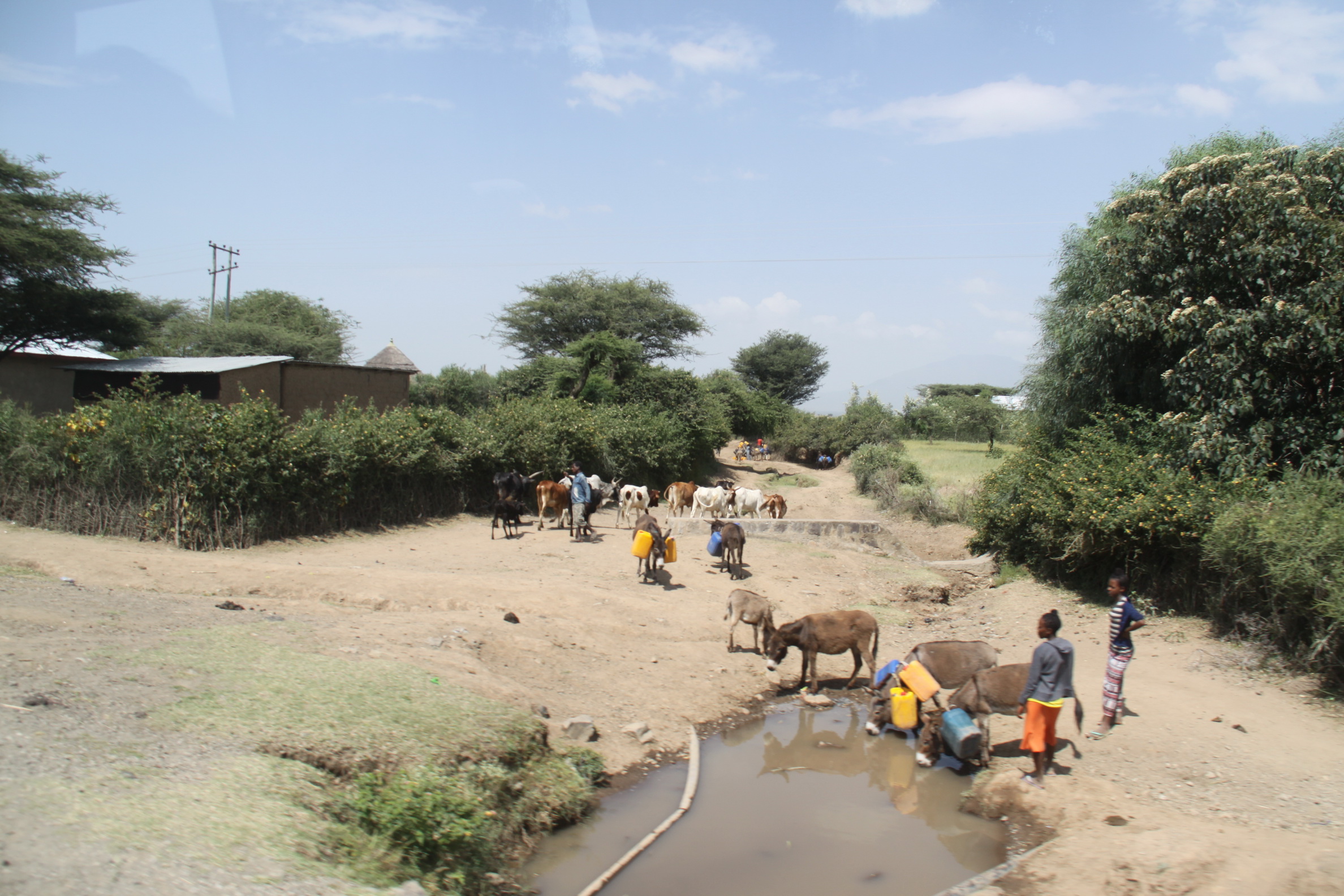 Aeth_2018_Tag11_0025