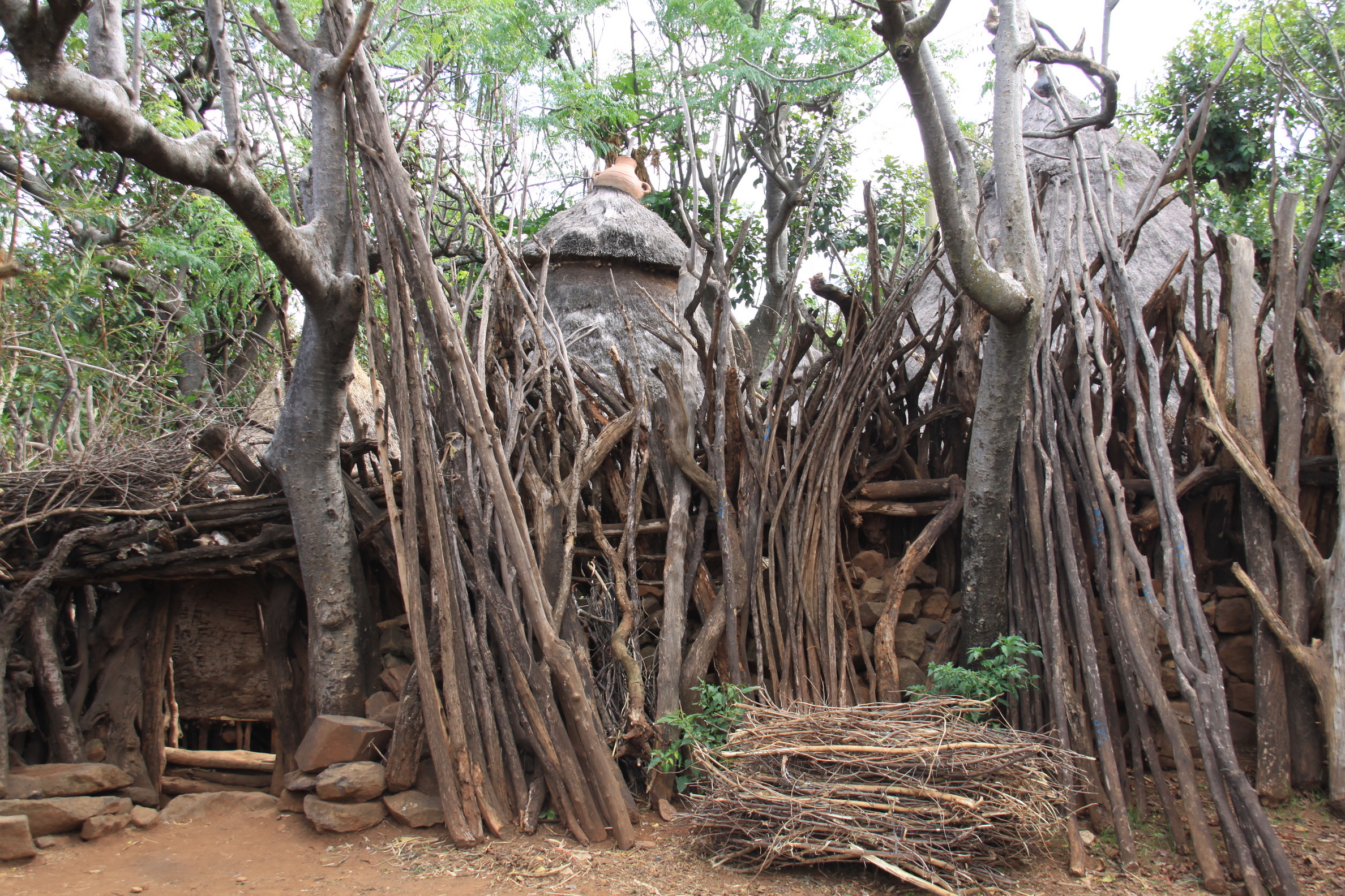 Aeth_2018_Tag12_0038