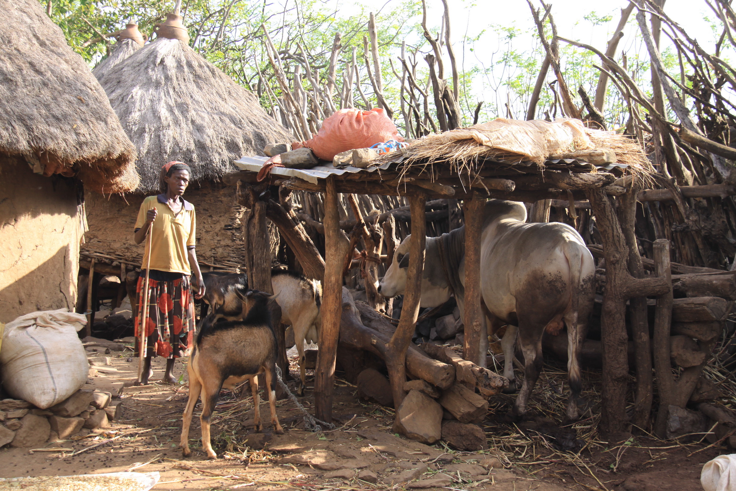 Aeth_2018_Tag12_0068