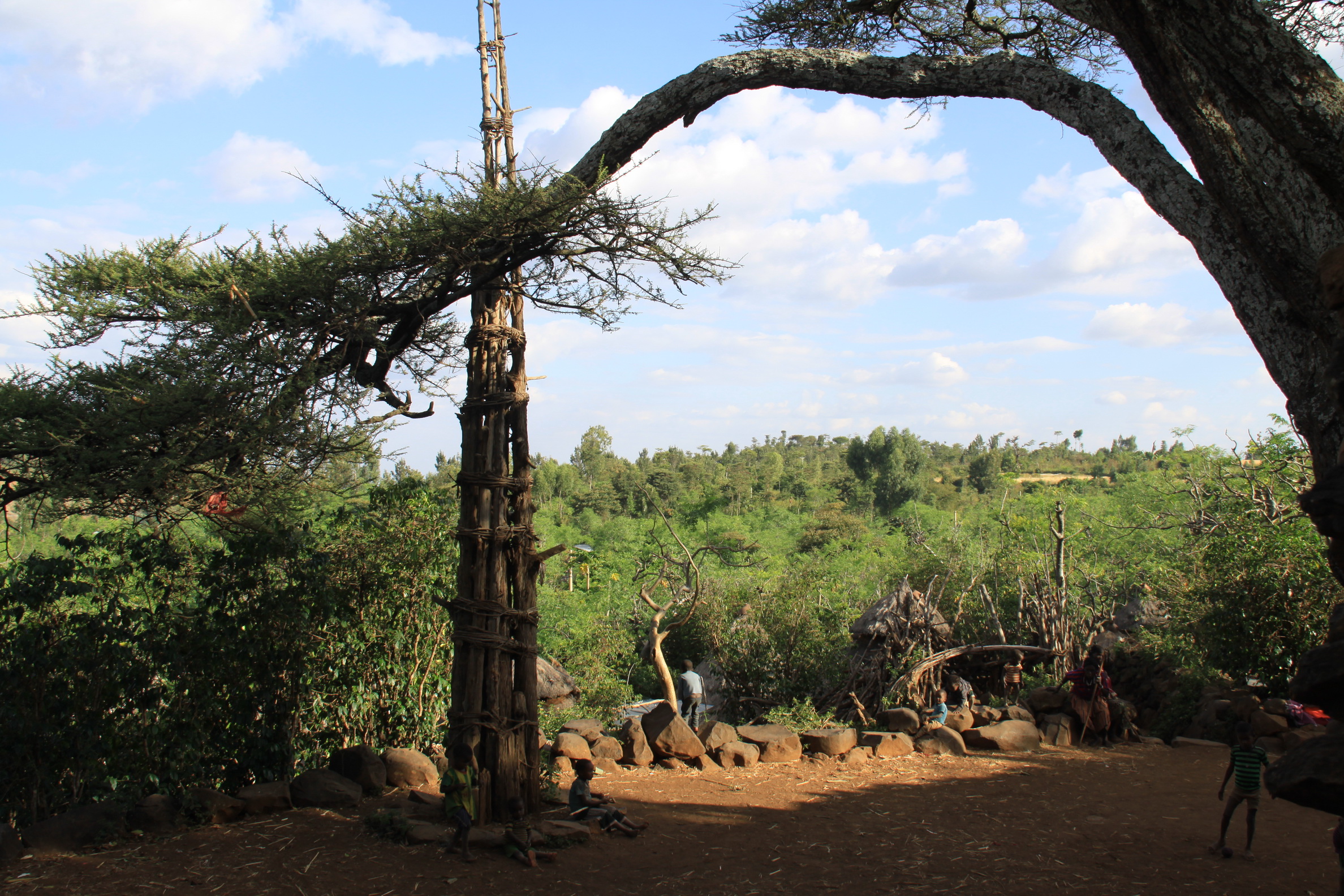 Aeth_2018_Tag12_0076