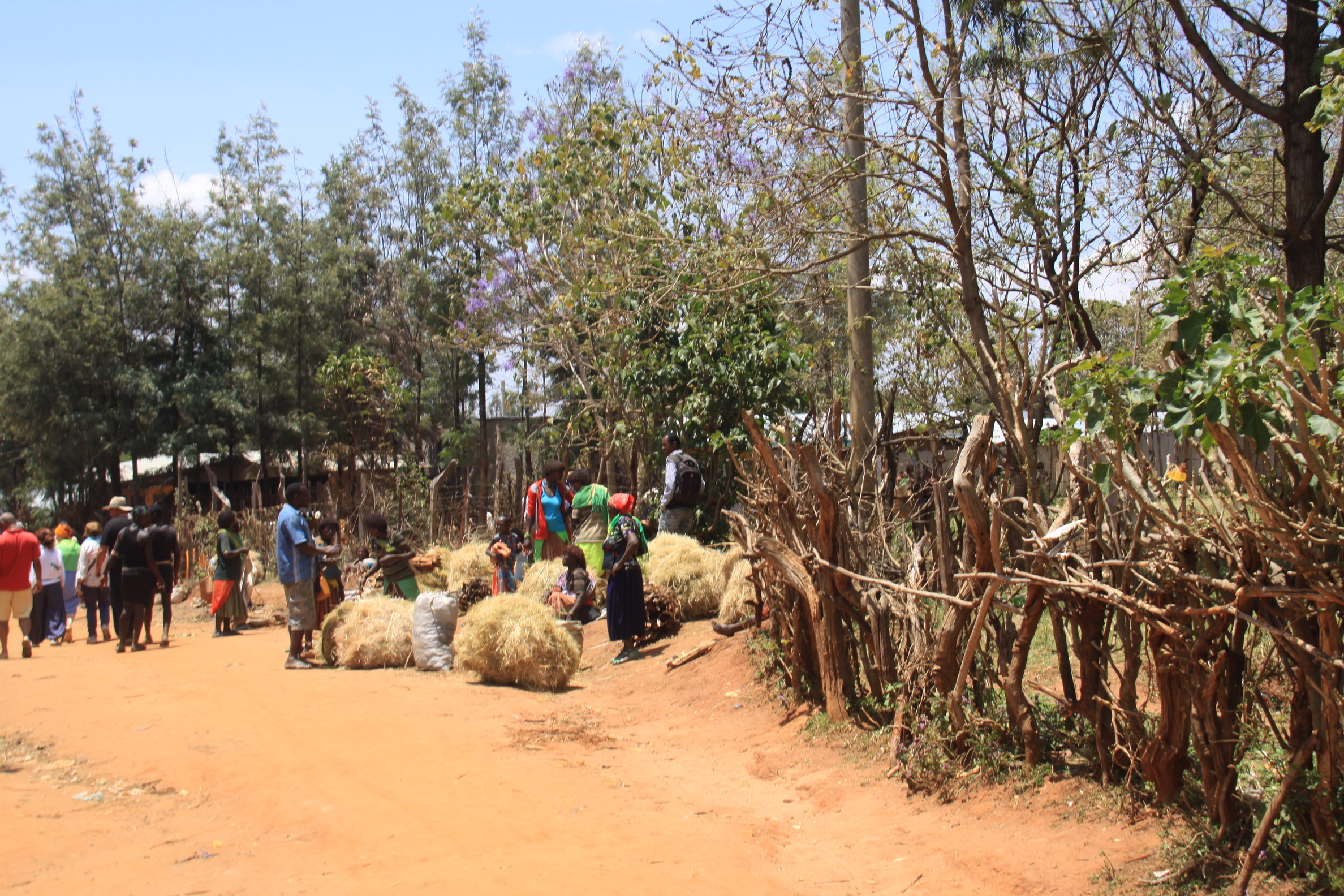 Aeth_2018_Tag13_0051