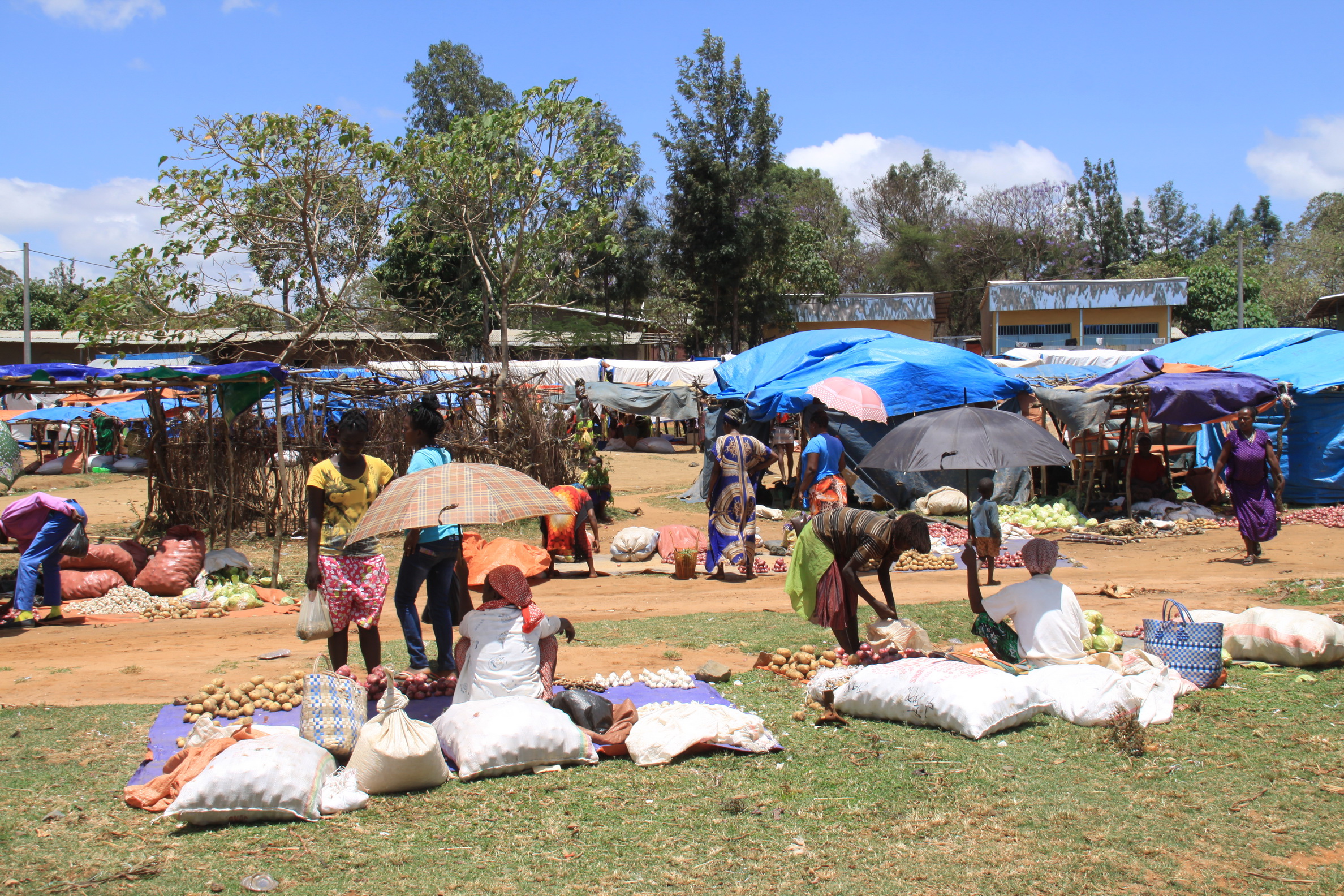 Aeth_2018_Tag13_0071