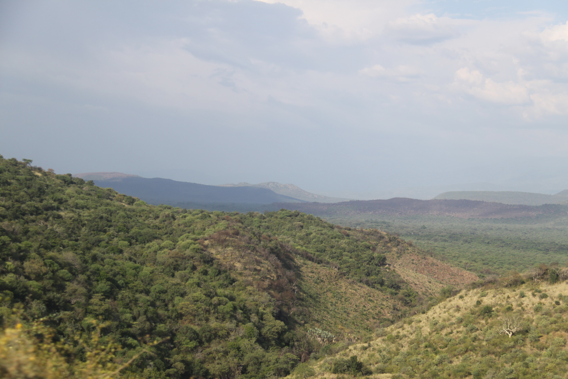 Aeth_2018_Tag13_0086