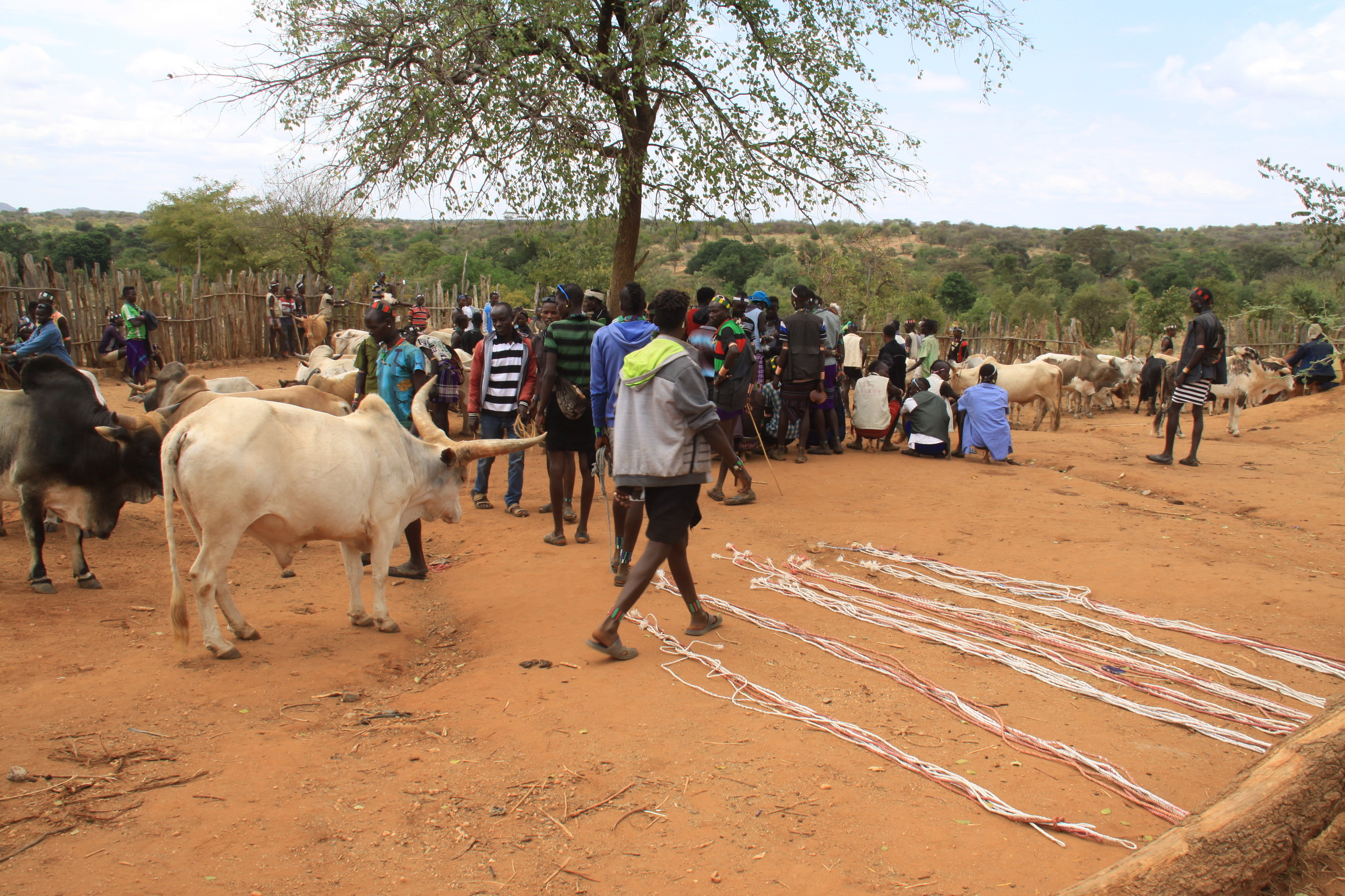 Aeth_2018_Tag15_0021