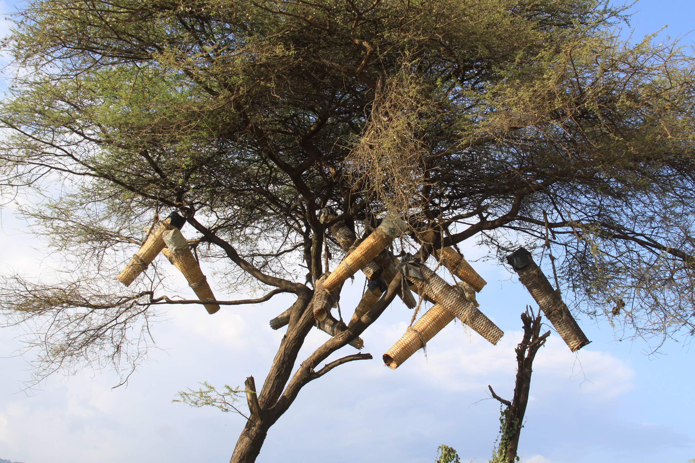 Aeth_2018_Tag16_0054