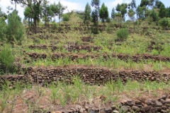 Aeth_2018_Tag16_0032