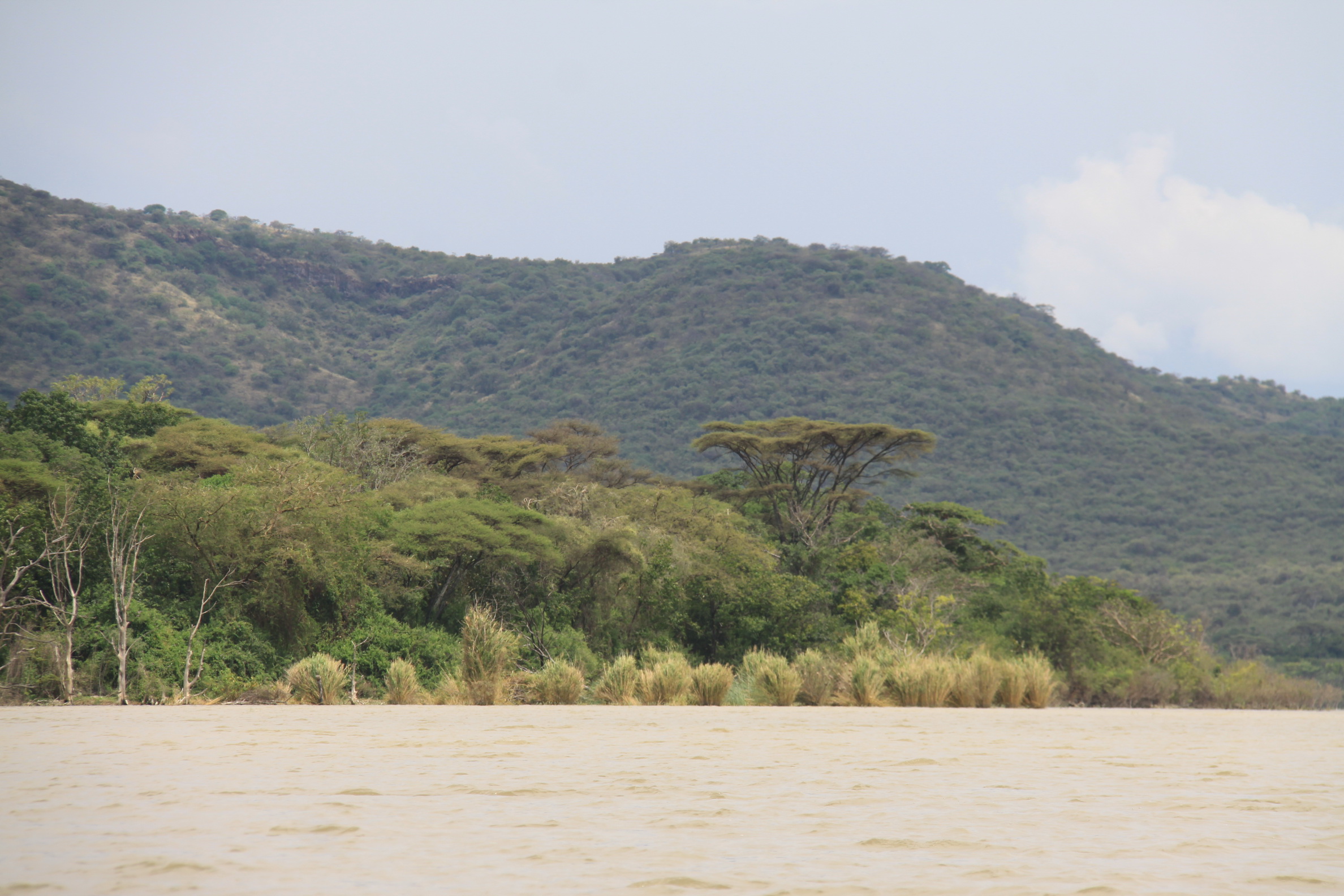 Aeth_2018_Tag17_0022