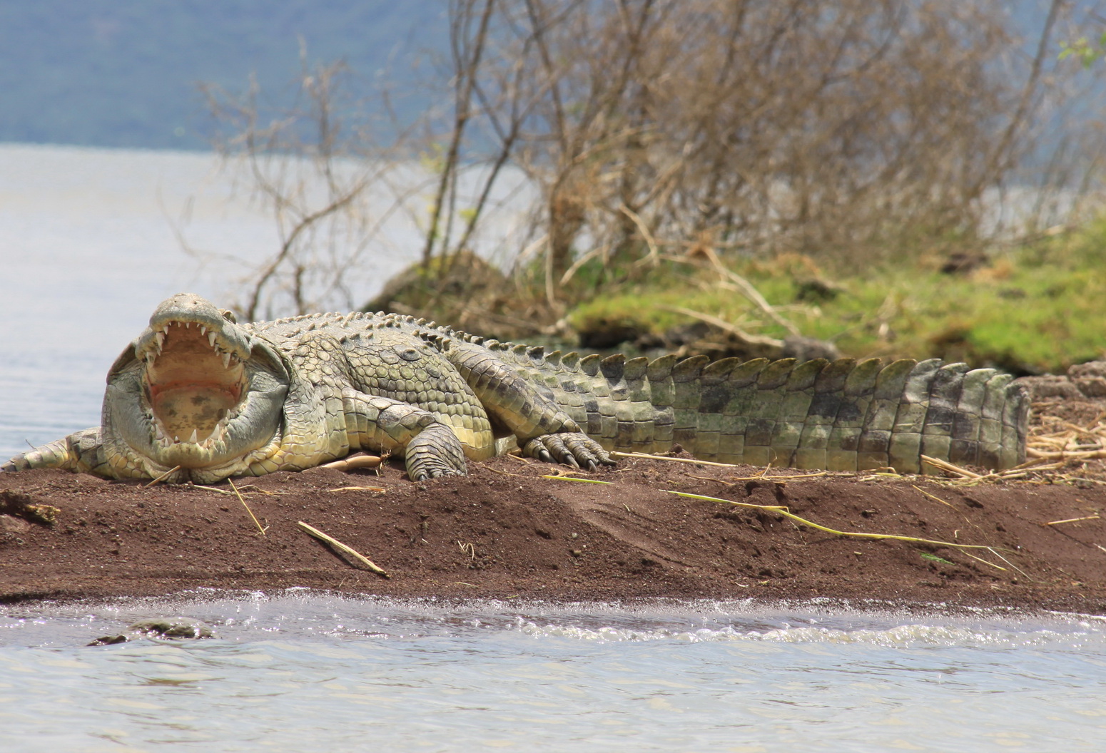 Aeth_2018_Tag17_0025