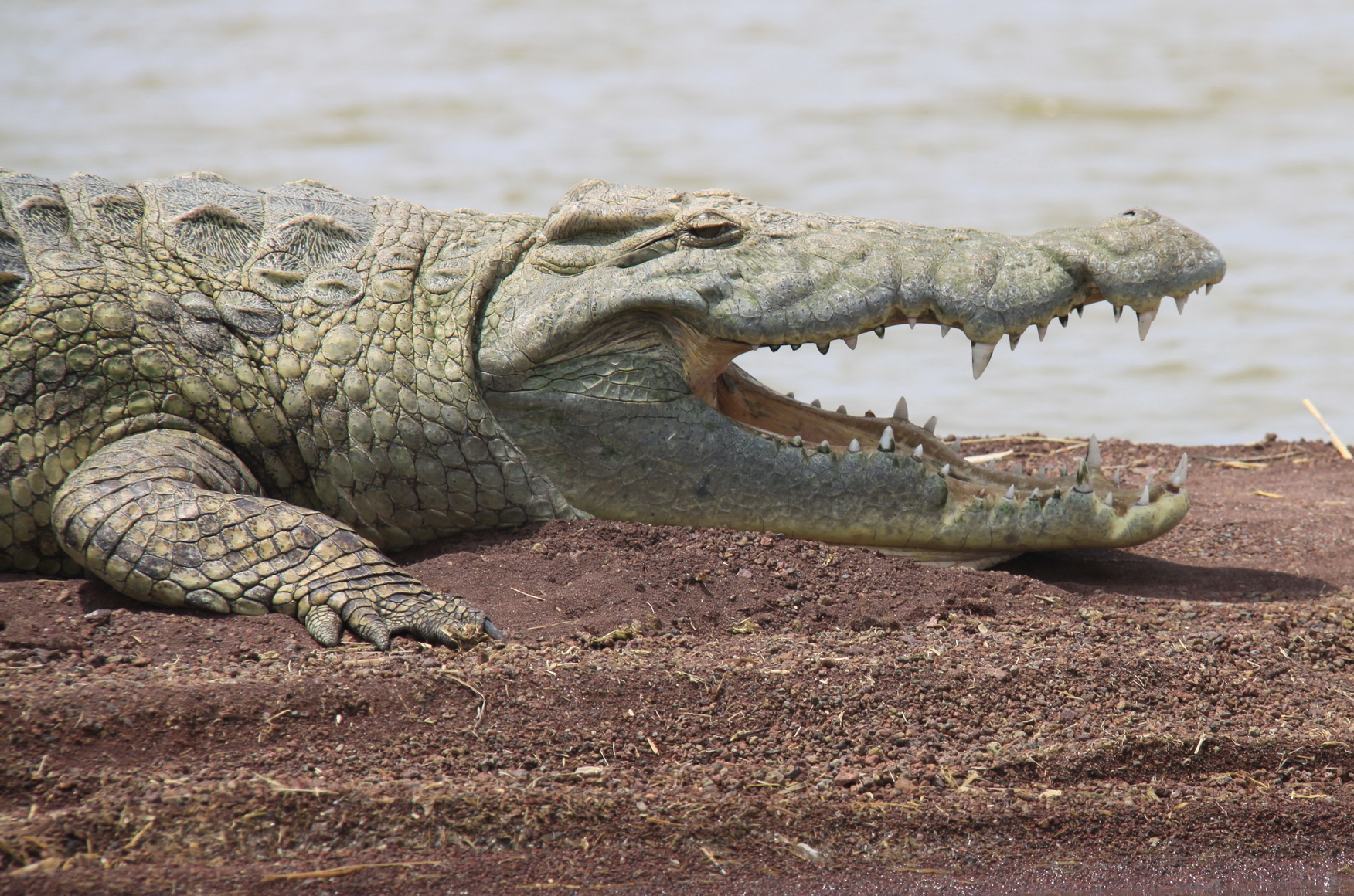 Aeth_2018_Tag17_0033