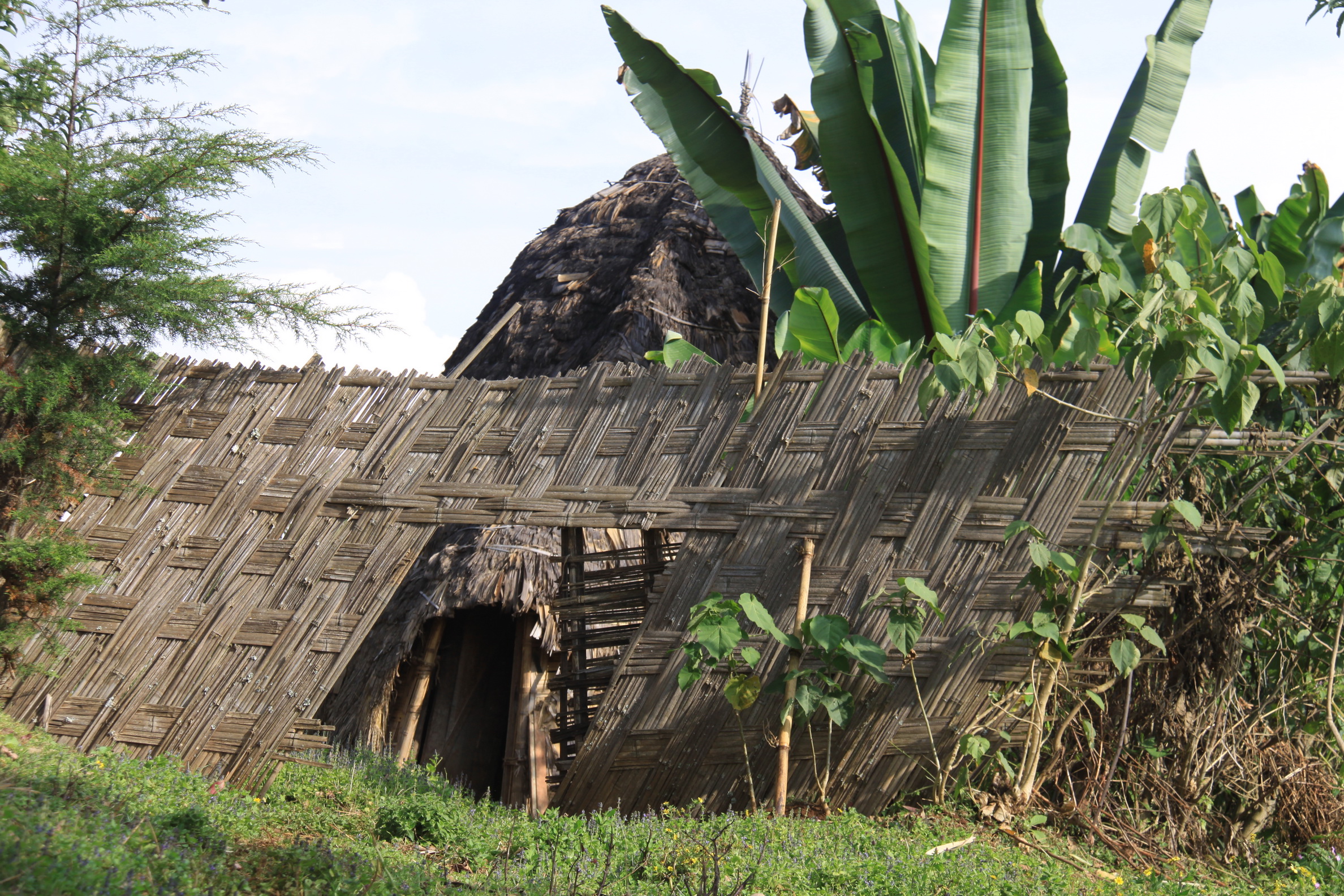 Aeth_2018_Tag17_0086